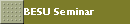 BESU Seminar